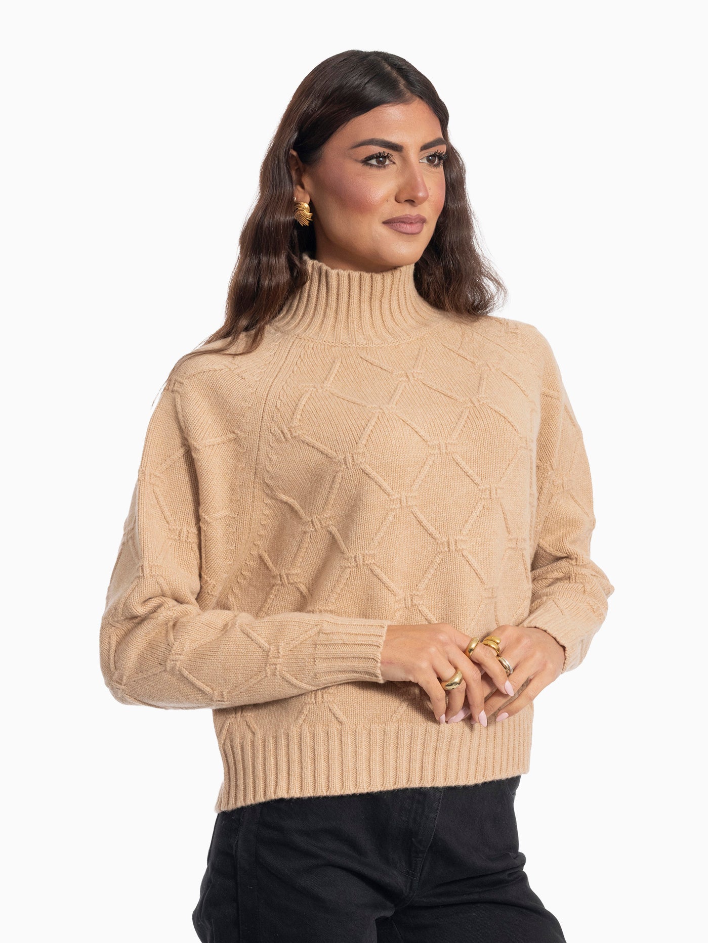 MAGLIA ELISABETTA FRANCHI MK55T57E2