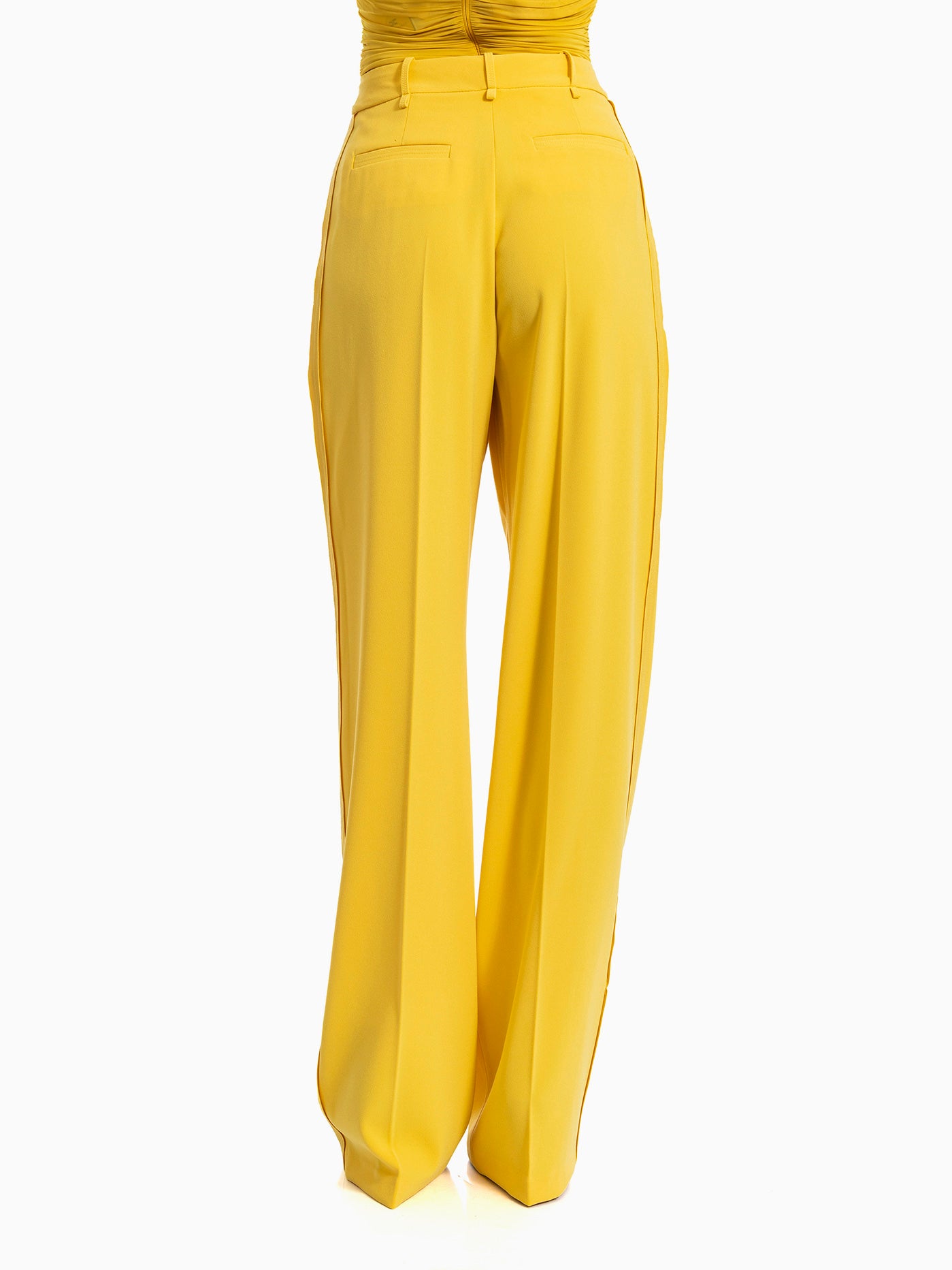 PANTALONE ELISABETTA FRANCHI PA16761E2