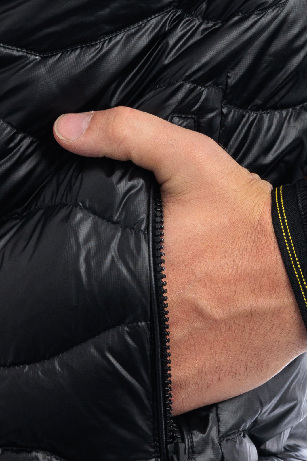 Blauer 25WBLUC03074-006355 JACKET