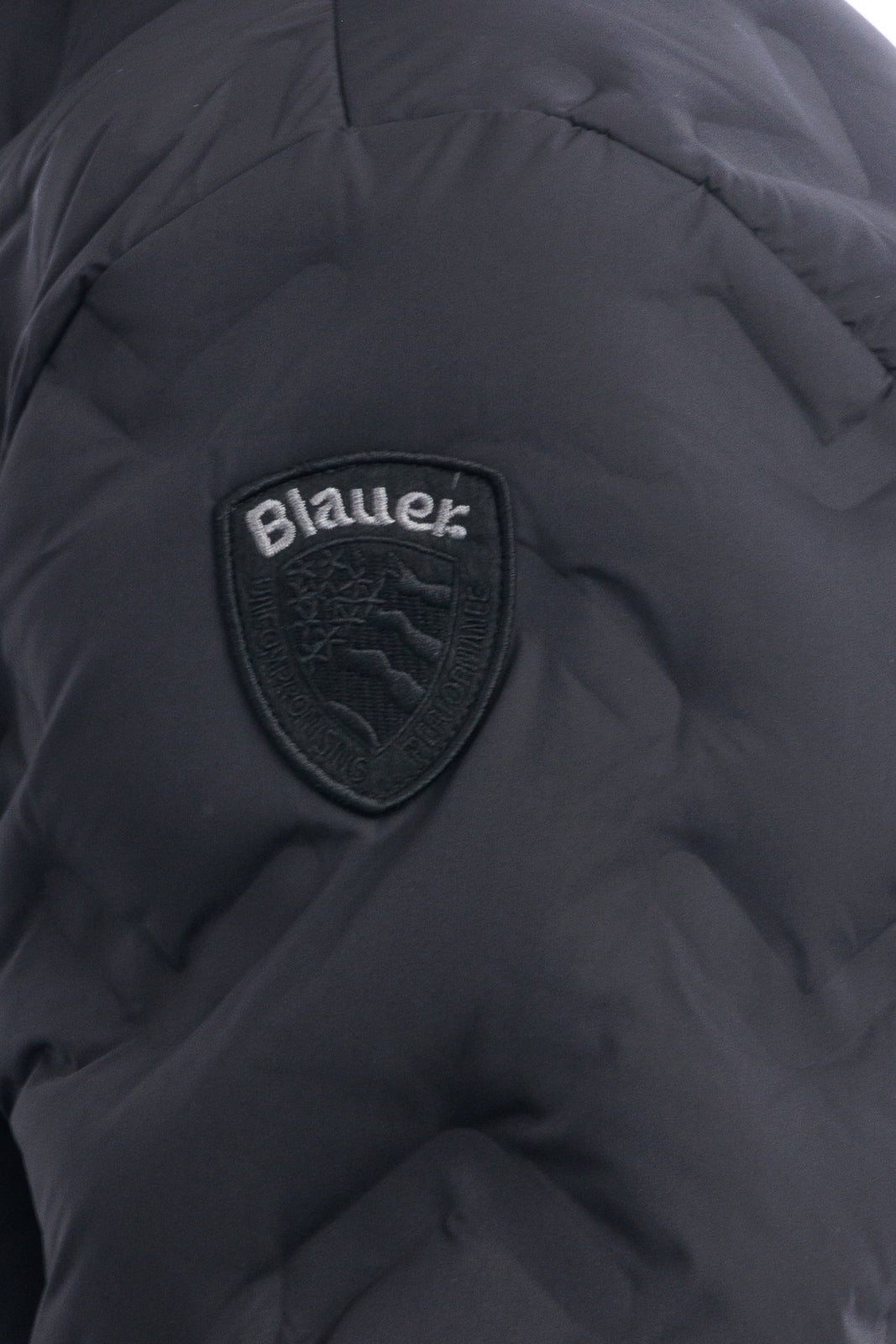 GIUBBINO Blauer 25WBLUC03233-007308