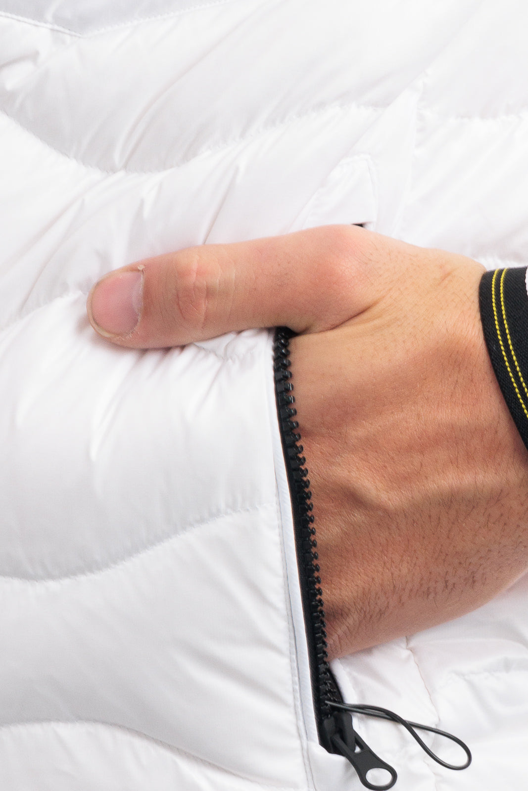 Blauer 25WBLUC03074-006355 JACKET