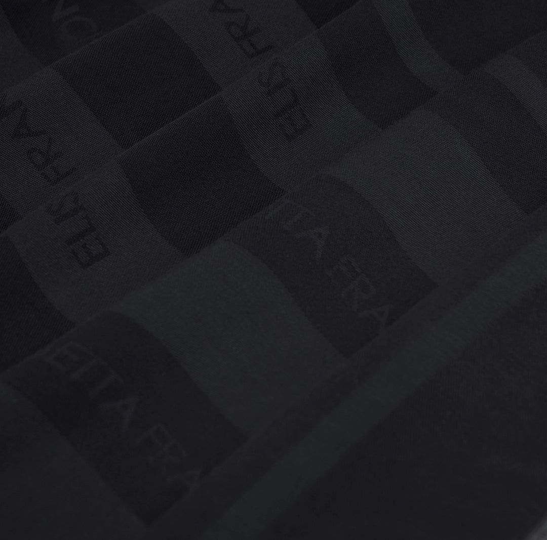 SCIARPA ELISABETTA FRANCHI SC15F61E2