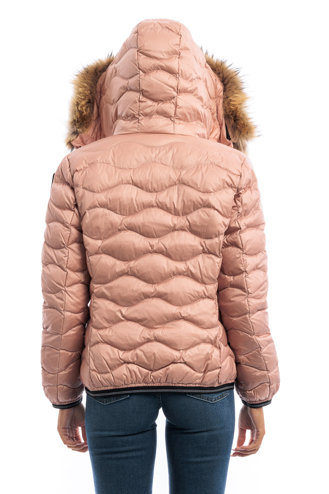 Blauer 25WBLDC03096-006047 JACKET