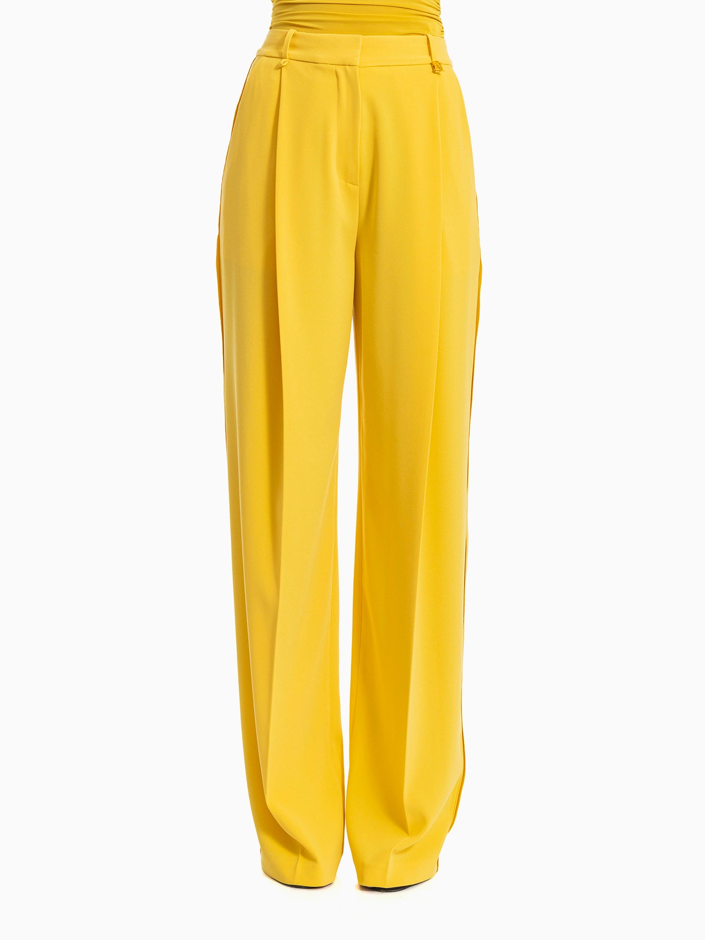 PANTALONE ELISABETTA FRANCHI PA16761E2